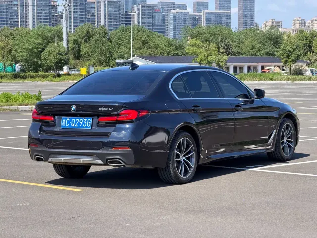 BMW 5 Series — Фото автомобиля 12