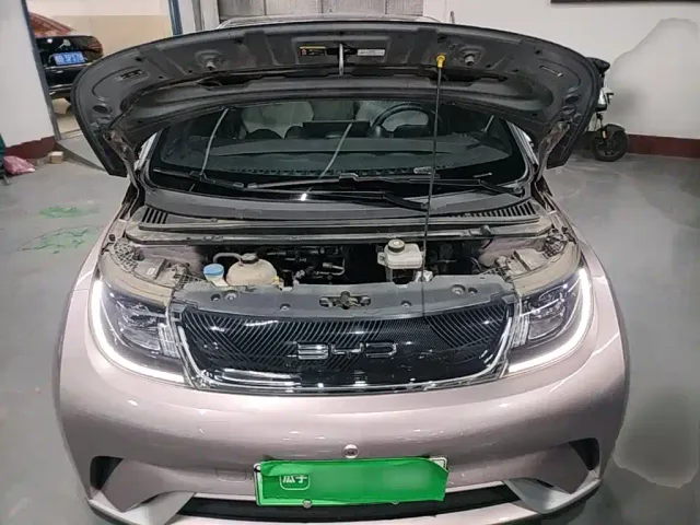 BYD Dolphin — Фото автомобиля 19
