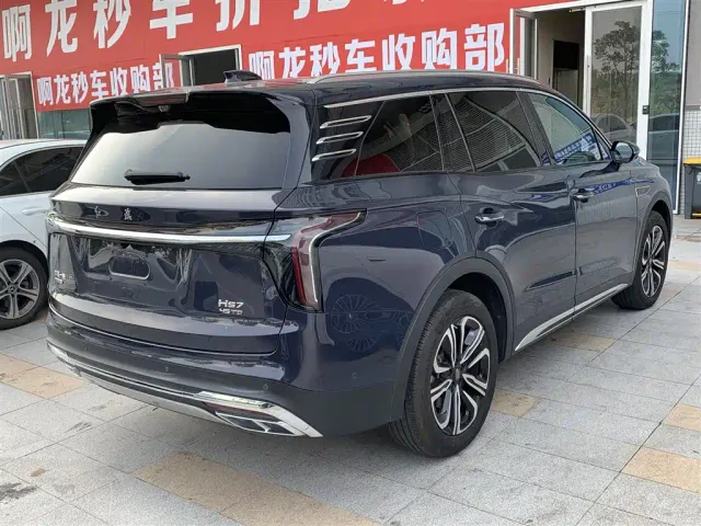 Hongqi HS7 — Фото автомобиля 8