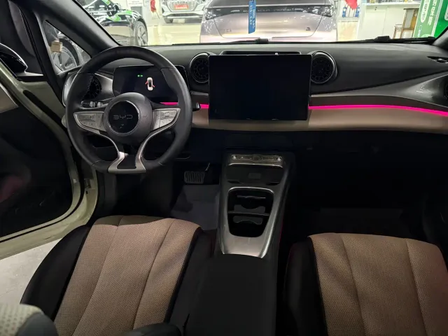 BYD Dolphin — Фото автомобиля 6