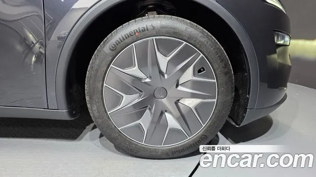 Tesla Model Y — Фото автомобиля 3