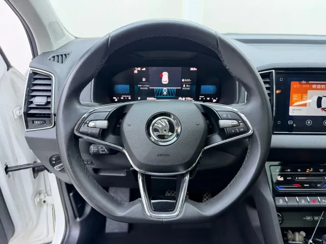 Skoda Karoq — Фото автомобиля 11