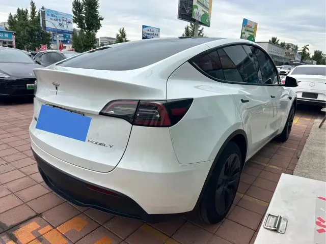 Tesla Model Y — Фото автомобиля 3