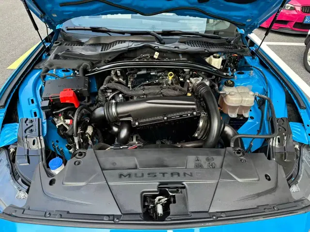 Ford Mustang — Фото автомобиля 10