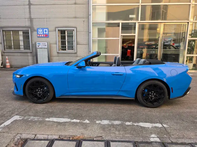 Ford Mustang — Фото автомобиля 12