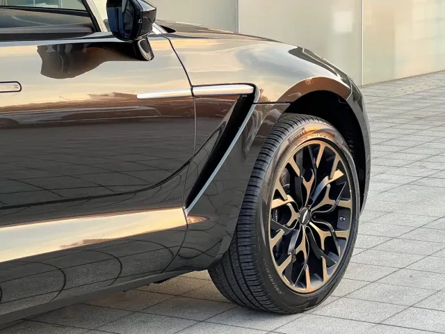 Aston Martin DBX — Фото автомобиля 11