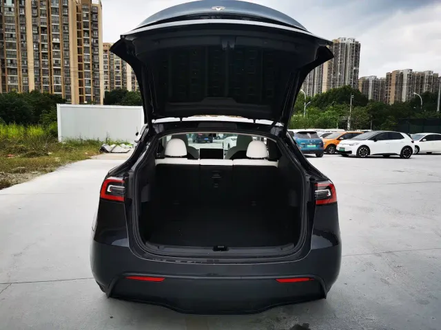Tesla Model Y — Фото автомобиля 13