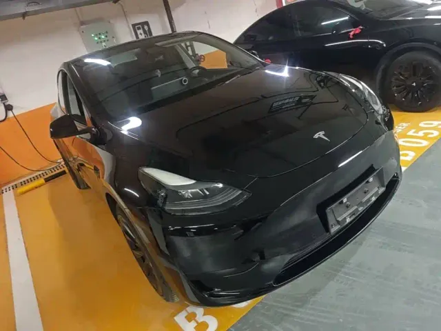 Tesla Model Y — Фото автомобиля 3