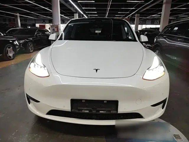Tesla Model Y — Фото автомобиля 2