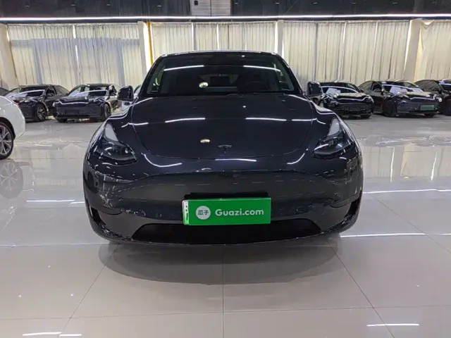 Tesla Model Y — Фото автомобиля 2
