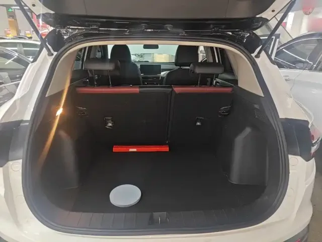 Geely Binyue 2021 1.4T DCT Diamond Edition — Фото автомобиля 14