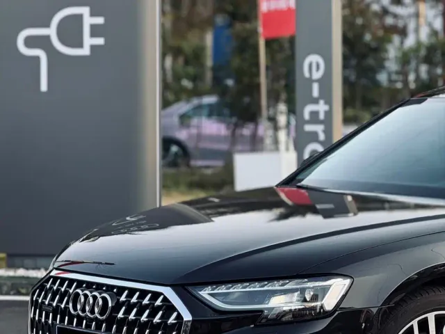 Audi A8 — Фото автомобиля 19