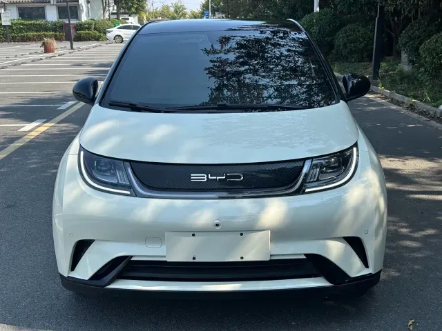 BYD Dolphin — Фото автомобиля 2