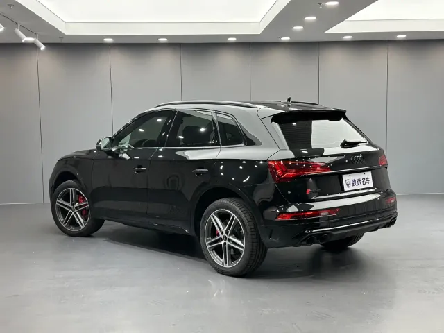 Audi SQ5 — Фото автомобиля 6