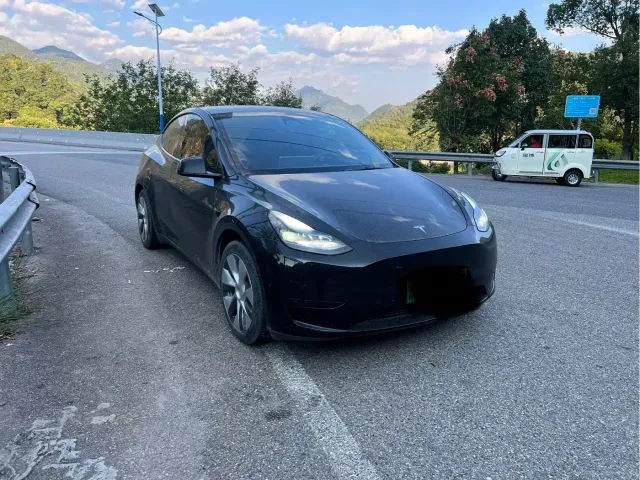 Tesla Model Y — Фото автомобиля 3