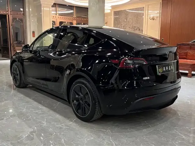 Tesla Model Y — Фото автомобиля 9