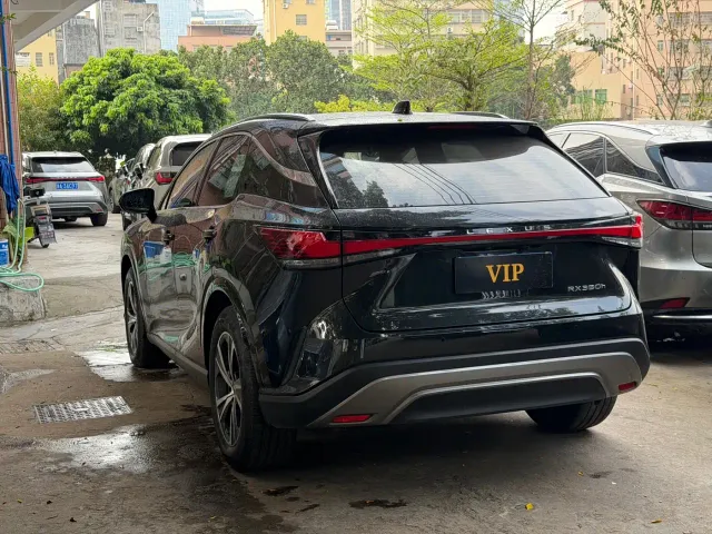 Lexus RX — Фото автомобиля 7
