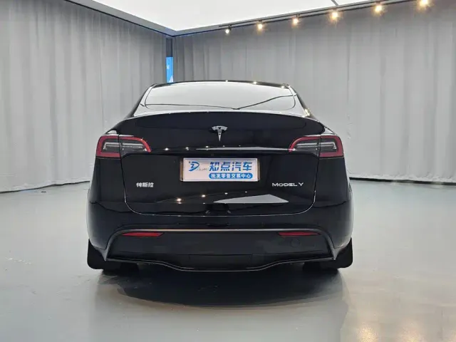 Tesla Model Y — Фото автомобиля 6