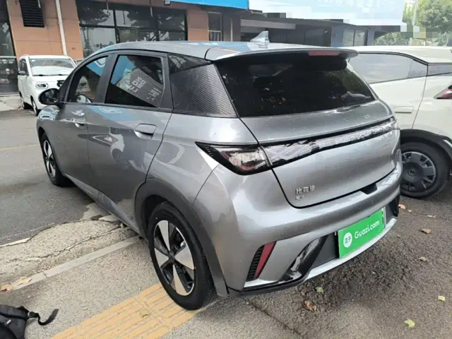 BYD Dolphin — Фото автомобиля 4