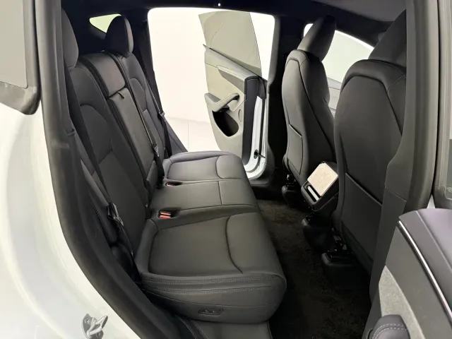 Tesla Model Y — Фото автомобиля 17