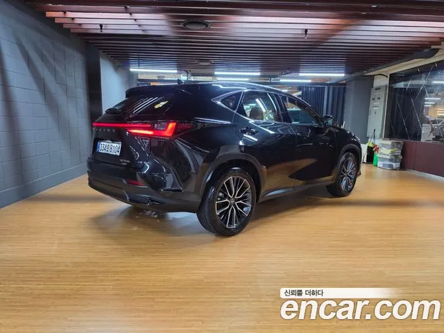 Lexus NX 2nd Gen — Фото автомобиля 2