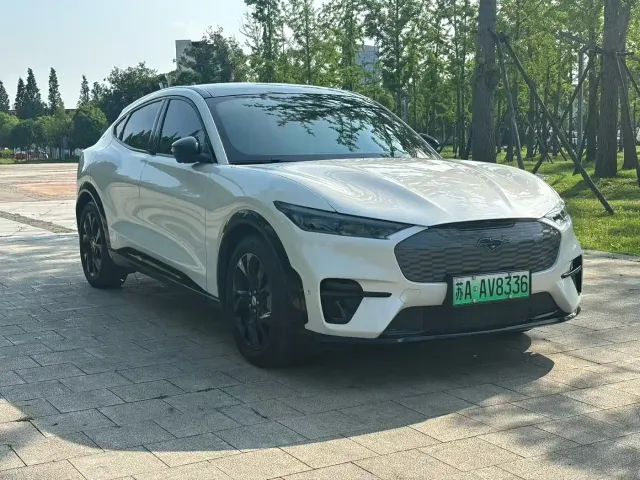 Ford Mustang Mach-E — Фото автомобиля 3