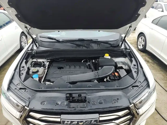 Haval Haval H6 2021 Model National Trend Edition 1.5T Auto Champion — Фото автомобиля 19