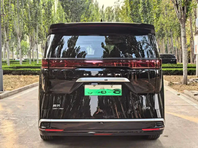 Denza D9 — Фото автомобиля 7