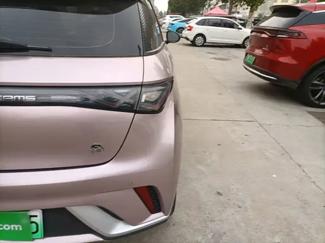 BYD Dolphin — Фото автомобиля 7
