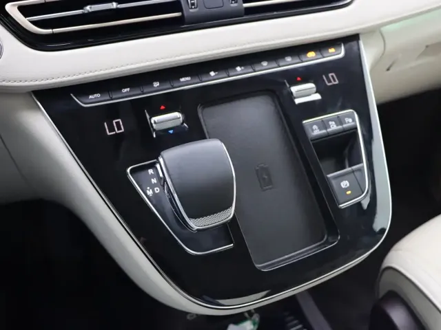 Hongqi Hongqi HQ9 2023 2.0T Smart Connect Flagship — Фото автомобиля 23