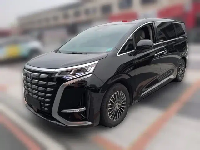 Фотография автомобиля — Denza D9