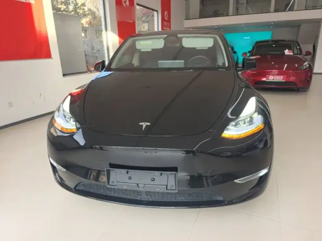 Tesla Model Y — Фото автомобиля 2