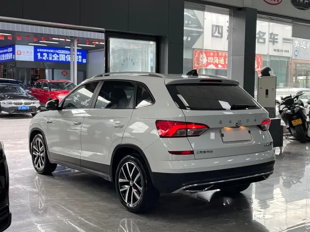 Skoda Kamiq — Фото автомобиля 14