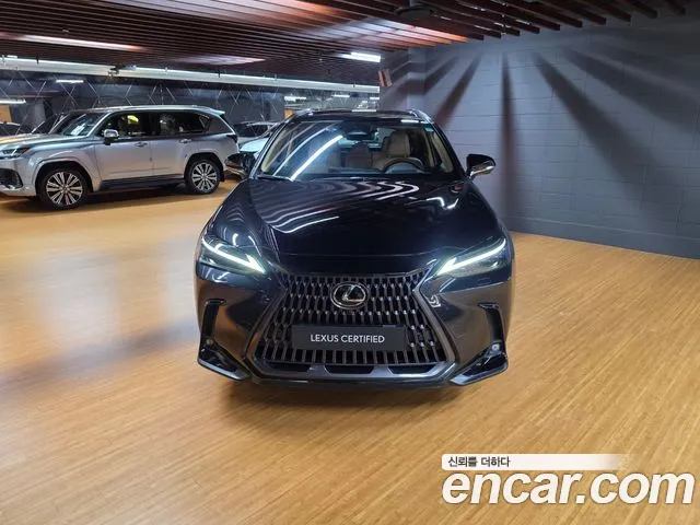 Lexus NX 2nd Gen — Фото автомобиля 3