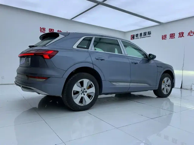 Audi e-tron — Фото автомобиля 7
