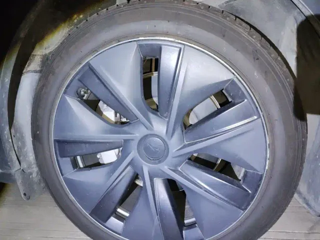 Tesla Model Y — Фото автомобиля 25