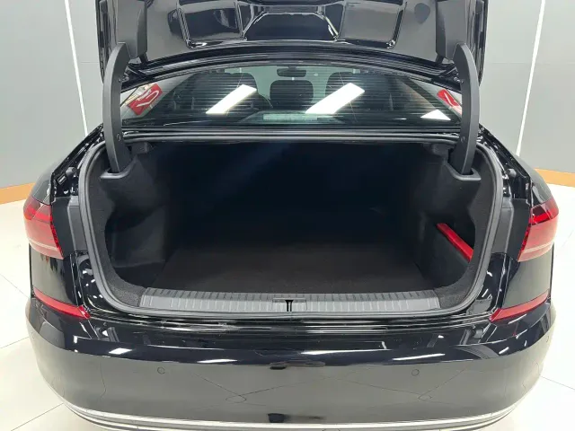 Volkswagen Passat — Фото автомобиля 25