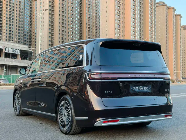 Luxeed Zunjie MPV — Фото автомобиля 9