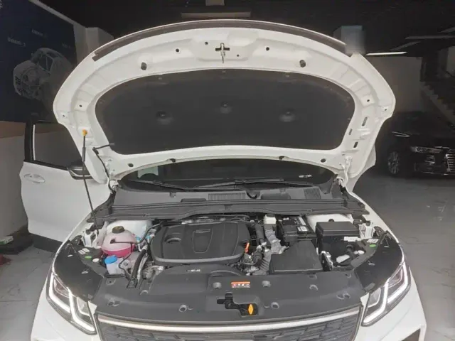 Geely Binyue — Фото автомобиля 19
