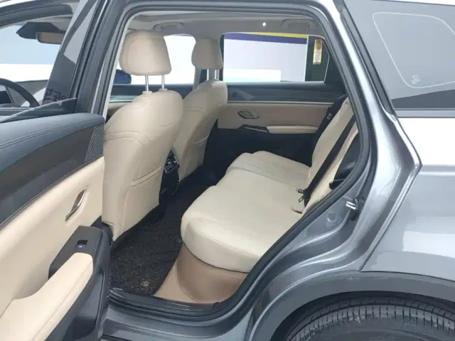 BYD Song Pro — Фото автомобиля 11
