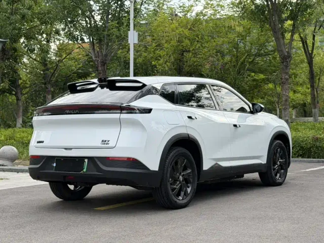 Dongfeng SKY EV01 — Фото автомобиля 20