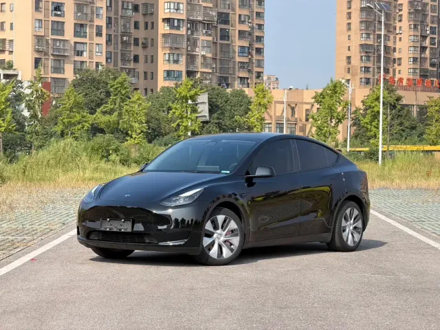 Tesla Model Y — Фото автомобиля 2