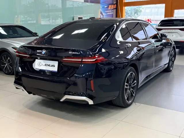 BMW 5 Series — Фото автомобиля 8