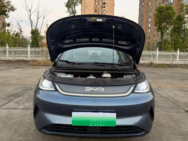 BYD Dolphin — Фото автомобиля 16