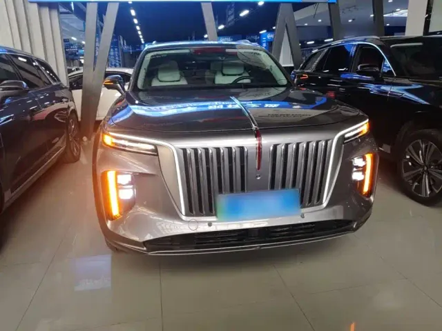 Hongqi E-HS9 — Фото автомобиля 2