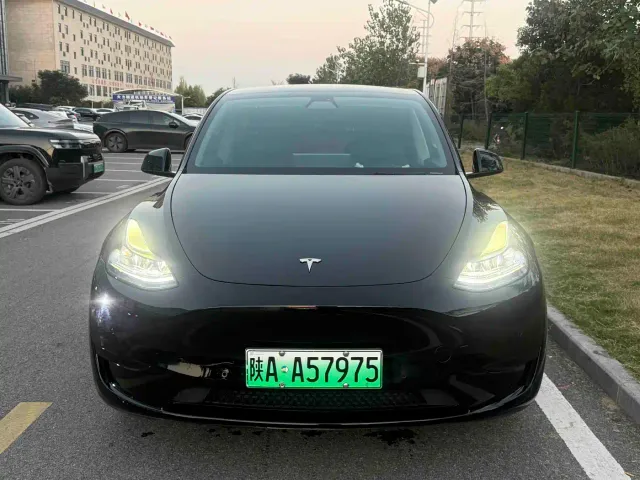 Tesla Model Y — Фото автомобиля 2