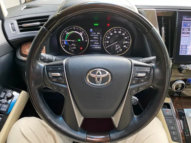 Toyota Alphard — Фото автомобиля 15
