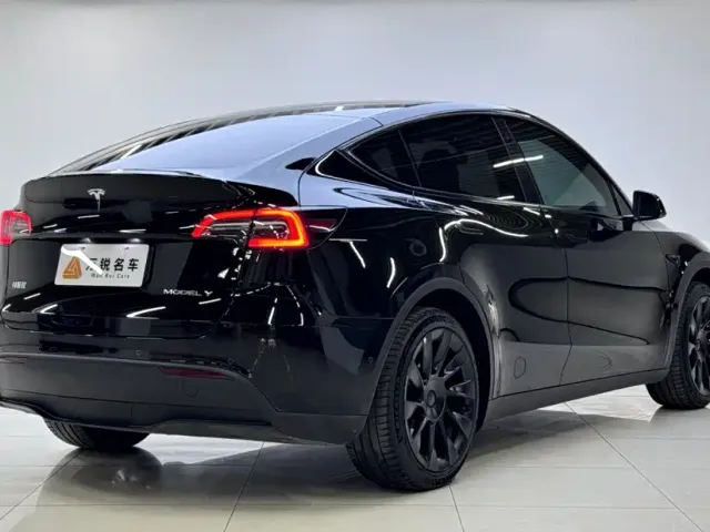 Tesla Model Y — Фото автомобиля 3