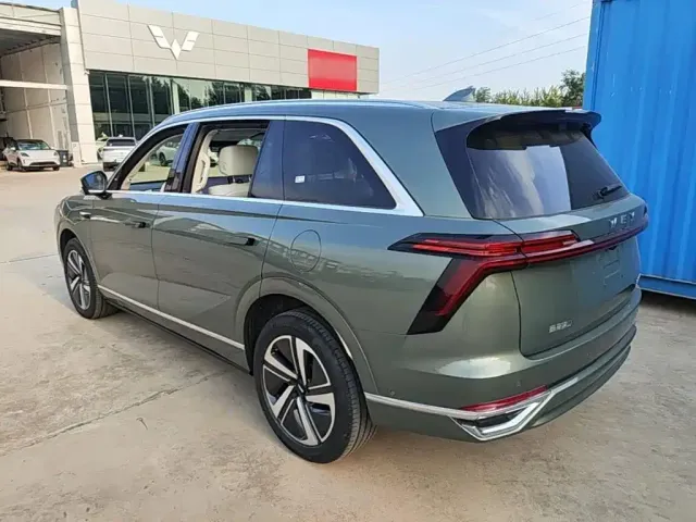Wey Lanshan — Фото автомобиля 4