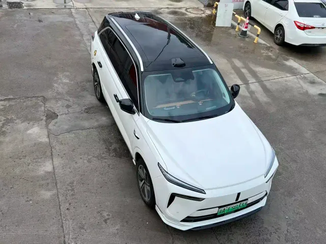 Wey Lanshan — Фото автомобиля 11